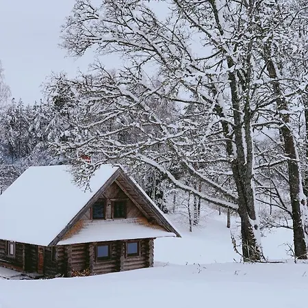 Vucini Holiday home *